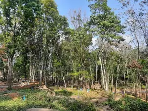 Land for sale in Nelundeniya