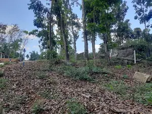 Land for sale in Nelundeniya