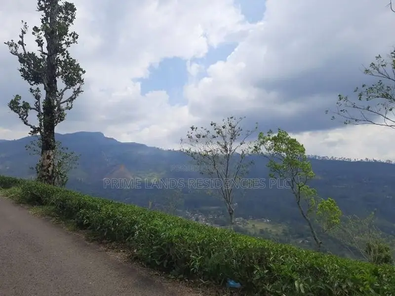 Mountain view land for sale in Pundaluoya