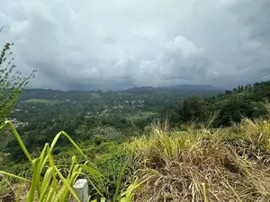 Land For Sale In Pussellawa