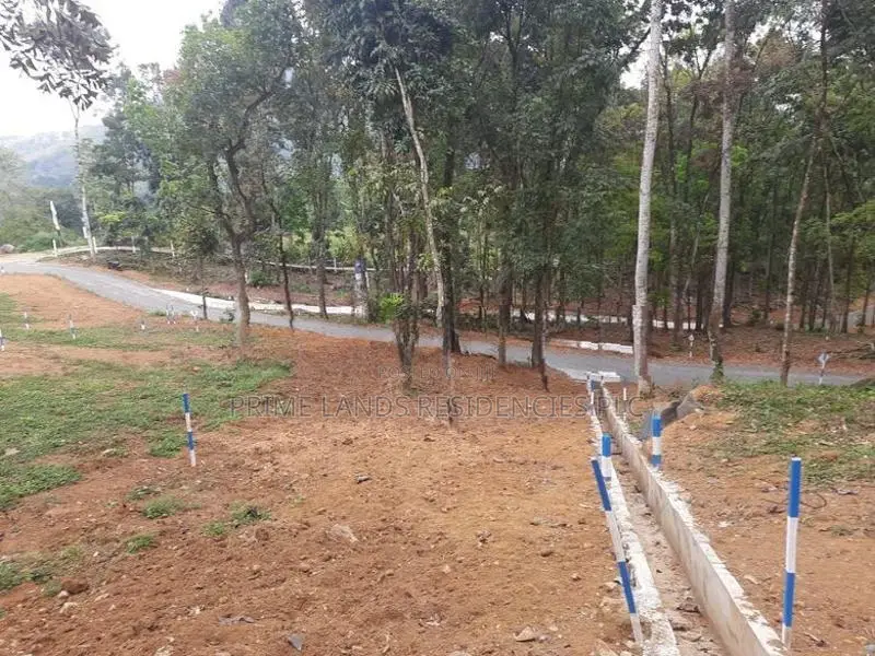 Land for sale in Nelundeniya