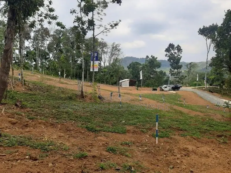 Valuable land for sale in Nelundeniya