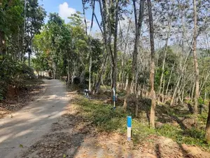 Residential land for sale in Nelundeniya