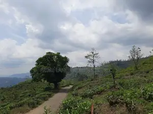 Mountain view land for sale in Pundaluoya