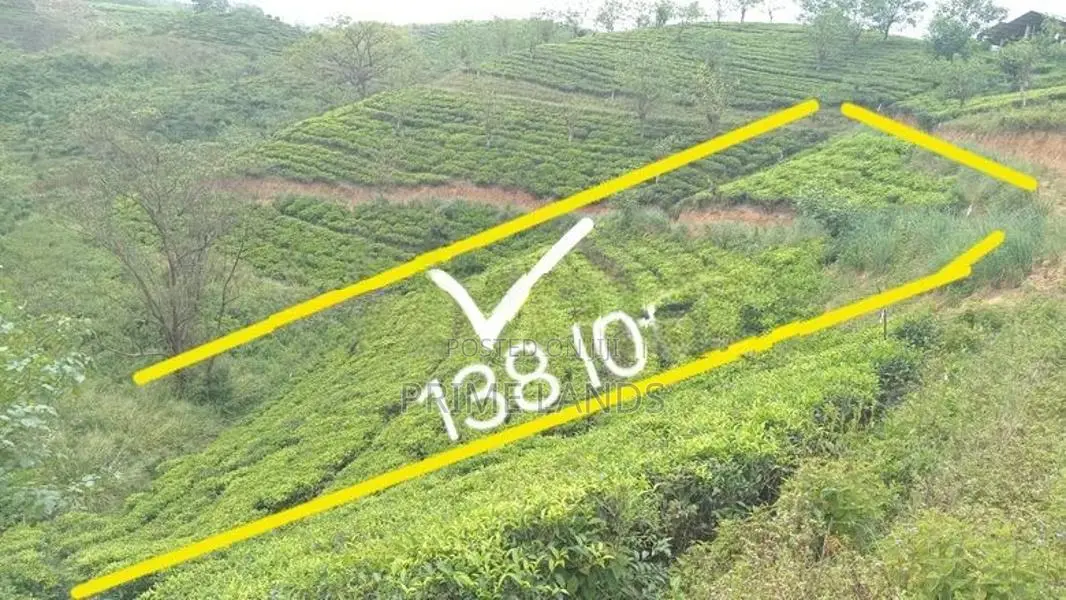 View Point Land for Sale Nuwara Eliya