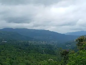 Land For Sale In Pussellawa