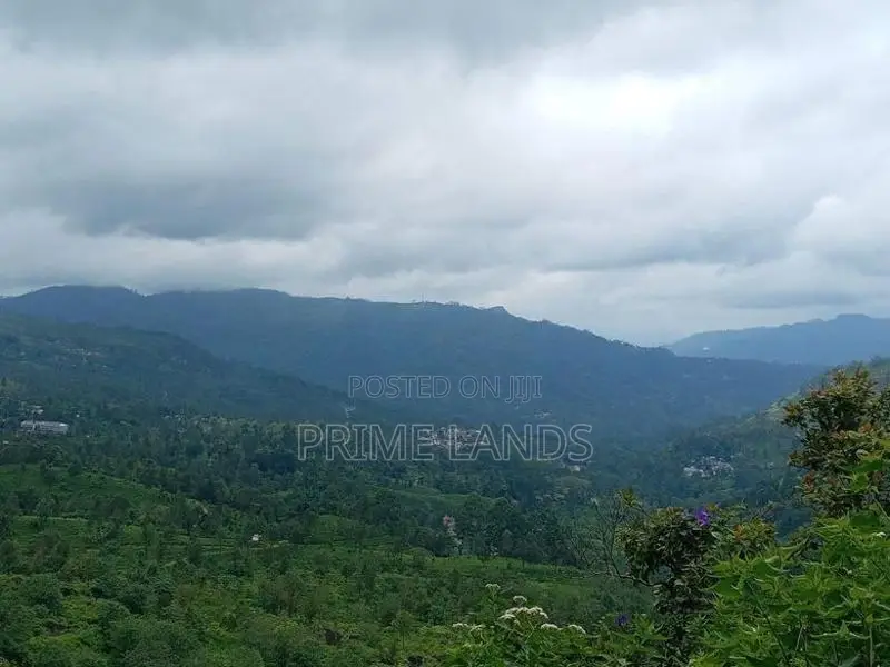 Land For Sale In Pussellawa