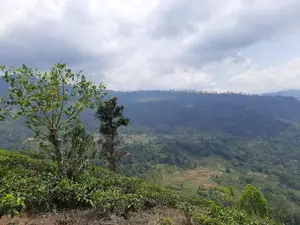 Mountain view land for sale in Pundaluoya