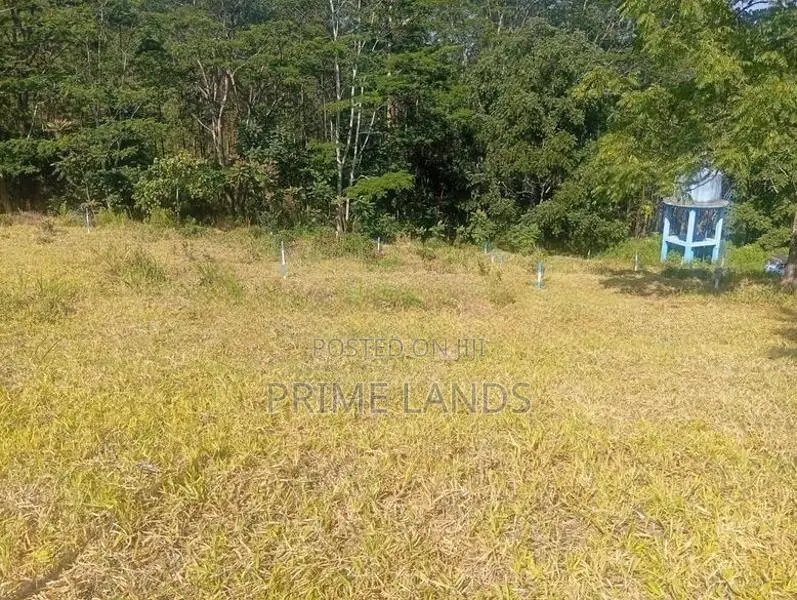 Land For Sale In Pussellawa