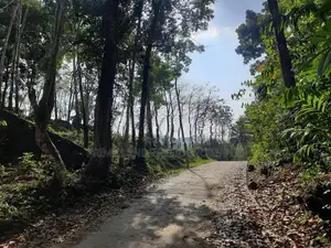 Land for sale in Nelundeniya
