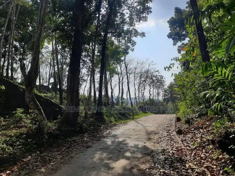 Land for sale in Nelundeniya