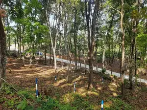 Valuable land for sale in Nelundeniya