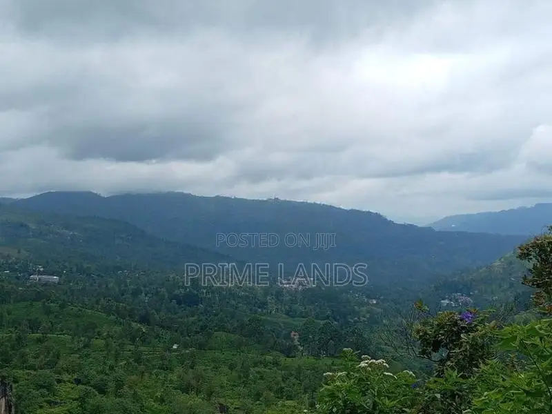 Land For Sale In Pussellawa