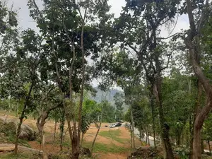 Land for sale in Nelundeniya