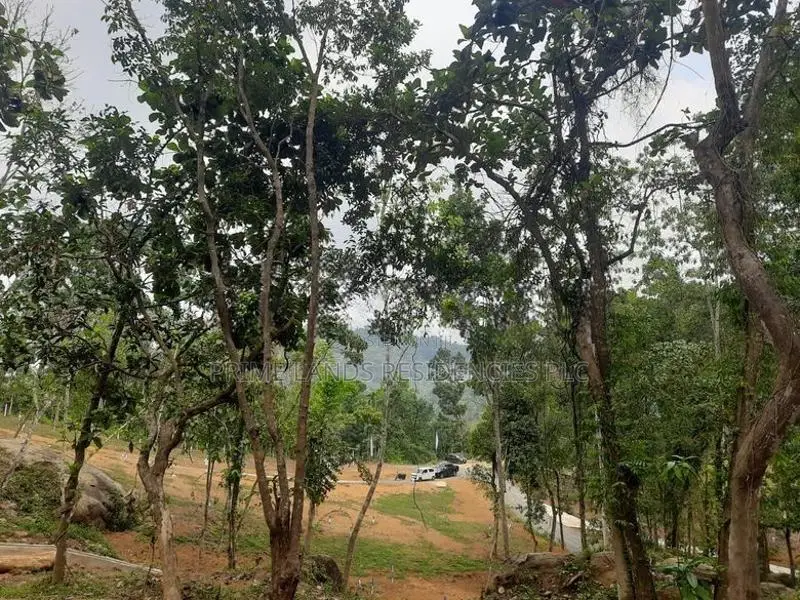 Land for sale in Nelundeniya