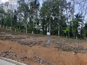 Valuable land for sale in Nelundeniya