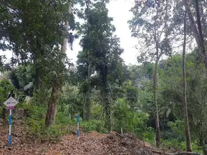 Residential land for sale in Nelundeniya