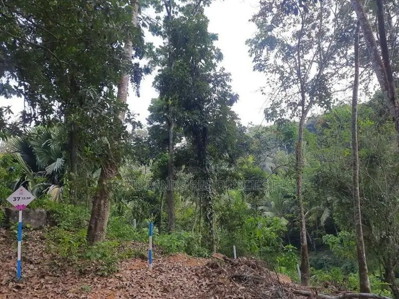 Residential land for sale in Nelundeniya