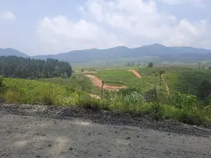 Valuable land for sale in Ramboda