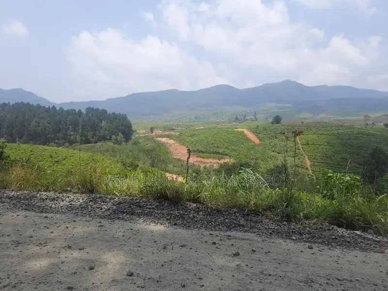 Valuable land for sale in Ramboda
