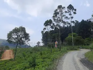 Valuable land for sale in Ramboda