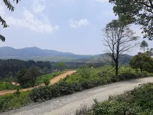 Valuable land for sale in Ramboda