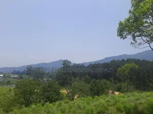 Valuable land for sale in Ramboda