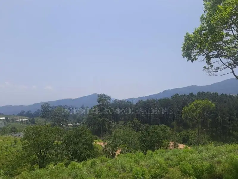 Valuable land for sale in Ramboda
