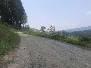 Valuable land for sale in Ramboda