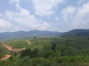 Land for sale in Pussellawa, Ramboda