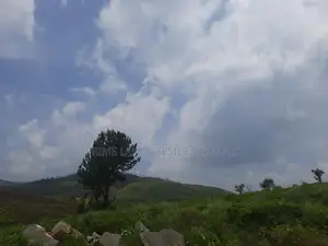 Land for sale in Pussellawa, Ramboda