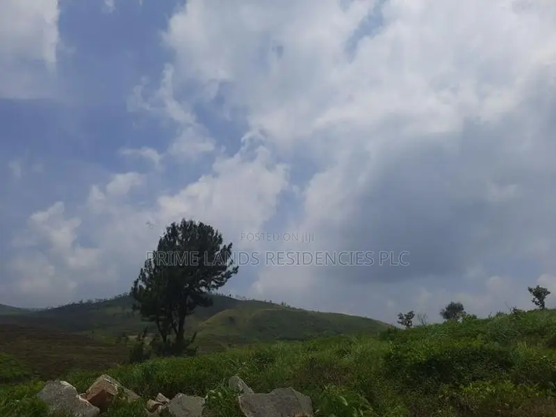 Land for sale in Pussellawa, Ramboda