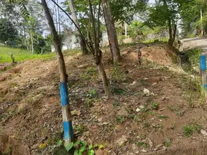 Land for sale in Mawanella, Uthuwankanda
