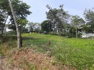 Residential land for in Uthuwankanda