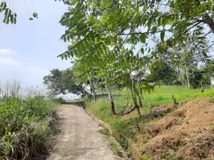 Residential land for in Uthuwankanda