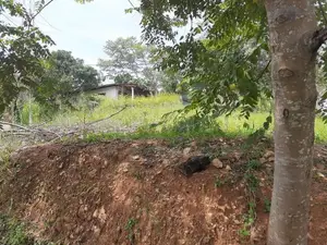 Land for sale in Mawanella, Uthuwankanda