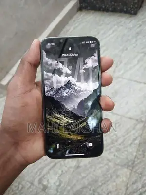 Apple iPhone 13 Pro 256GB (Used)