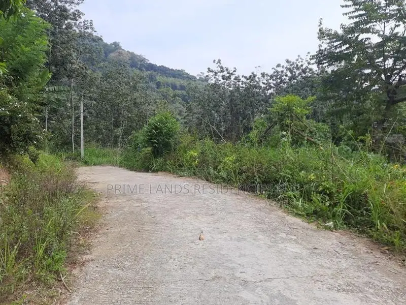 Residential land for in Uthuwankanda