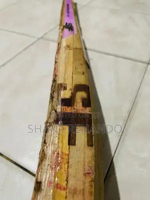Cricket Leather Sf Bat