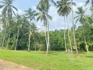 මිනුවන්ගොඩ වීදියවත්ත හංදියෙන් වටිනා ඉඩමක්