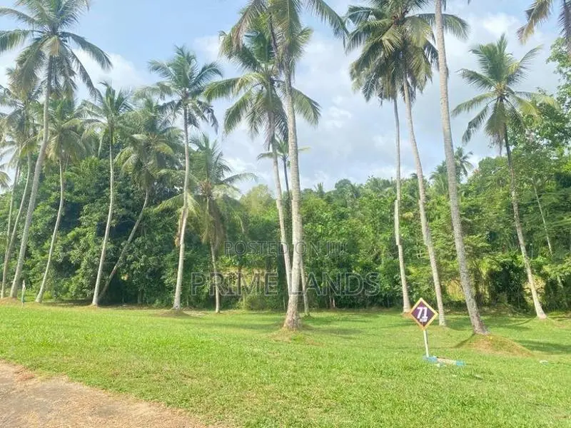 මිනුවන්ගොඩ වීදියවත්ත හංදියෙන් වටිනා ඉඩමක්