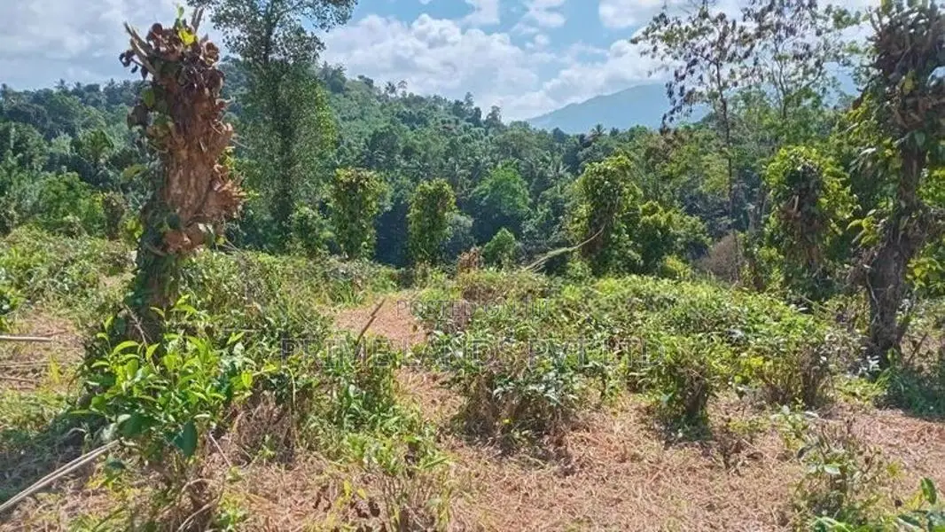 LAND FOR SALE PILIMATHALAWA