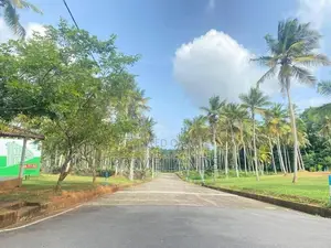 මිනුවන්ගොඩ වීදියවත්ත හංදියෙන් වටිනා ඉඩමක්