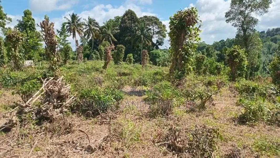LAND FOR SALE PILIMATHALAWA