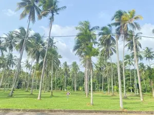 මිනුවන්ගොඩ වීදියවත්ත හංදියෙන් වටිනා ඉඩමක්