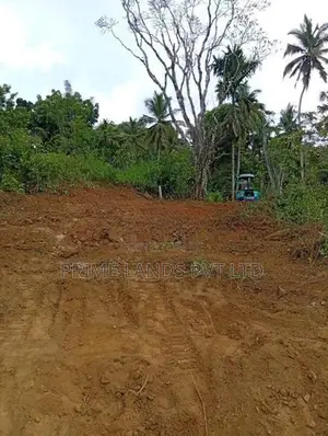 Land for Sale Gelioya