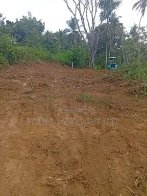 Land for Sale Gelioya