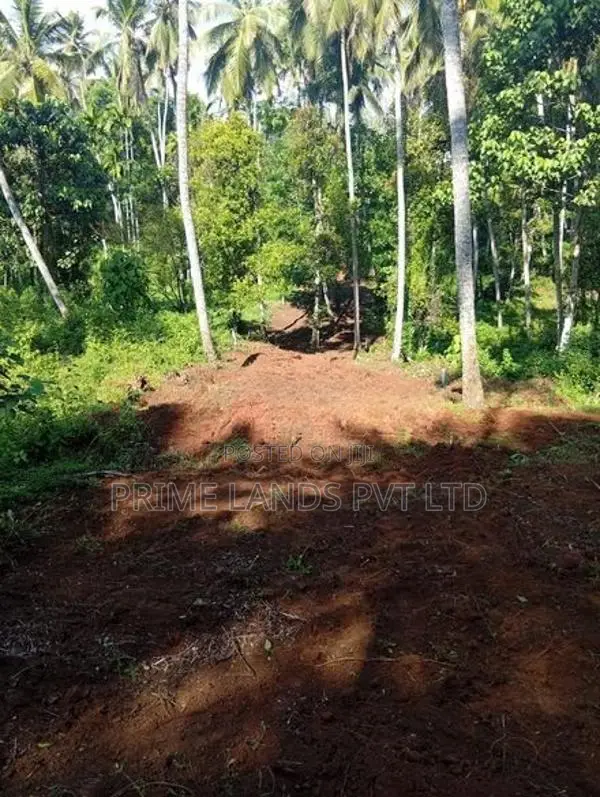 Land for Sale Gelioya