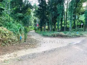 Land for Sale Nelundeniya
