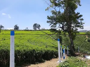 LAND FOR SALE NUWARAELIYA